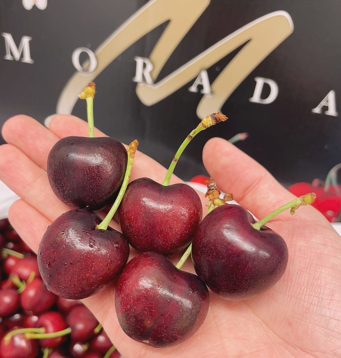 Morada-Imported-Red-Cherries-from-USA---5kg-Box-1