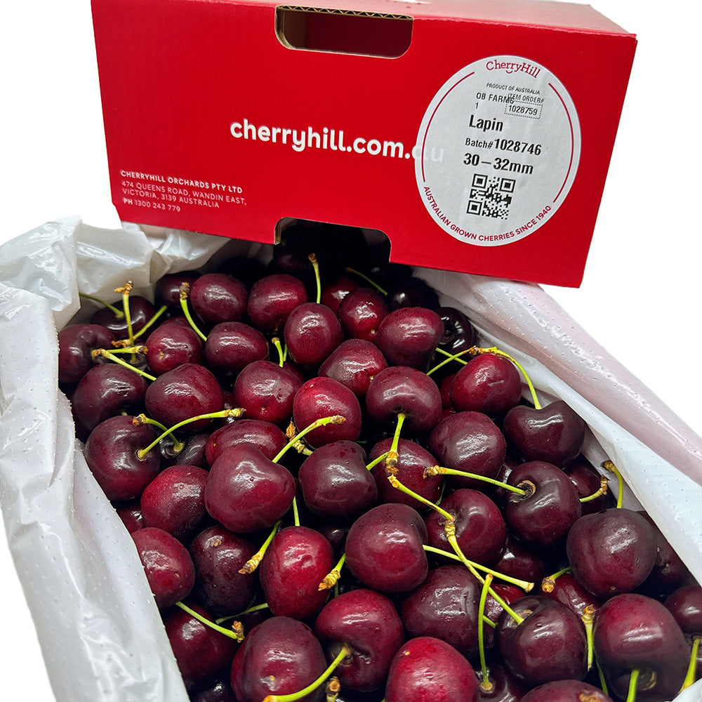 CherryHill-Lapin-Cherries-Gift-Box-30-32mm---2kg-1