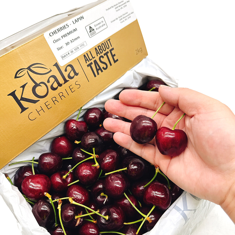 Koala-Premium-Cherries-Gift-Box-30-32mm---2kg-1