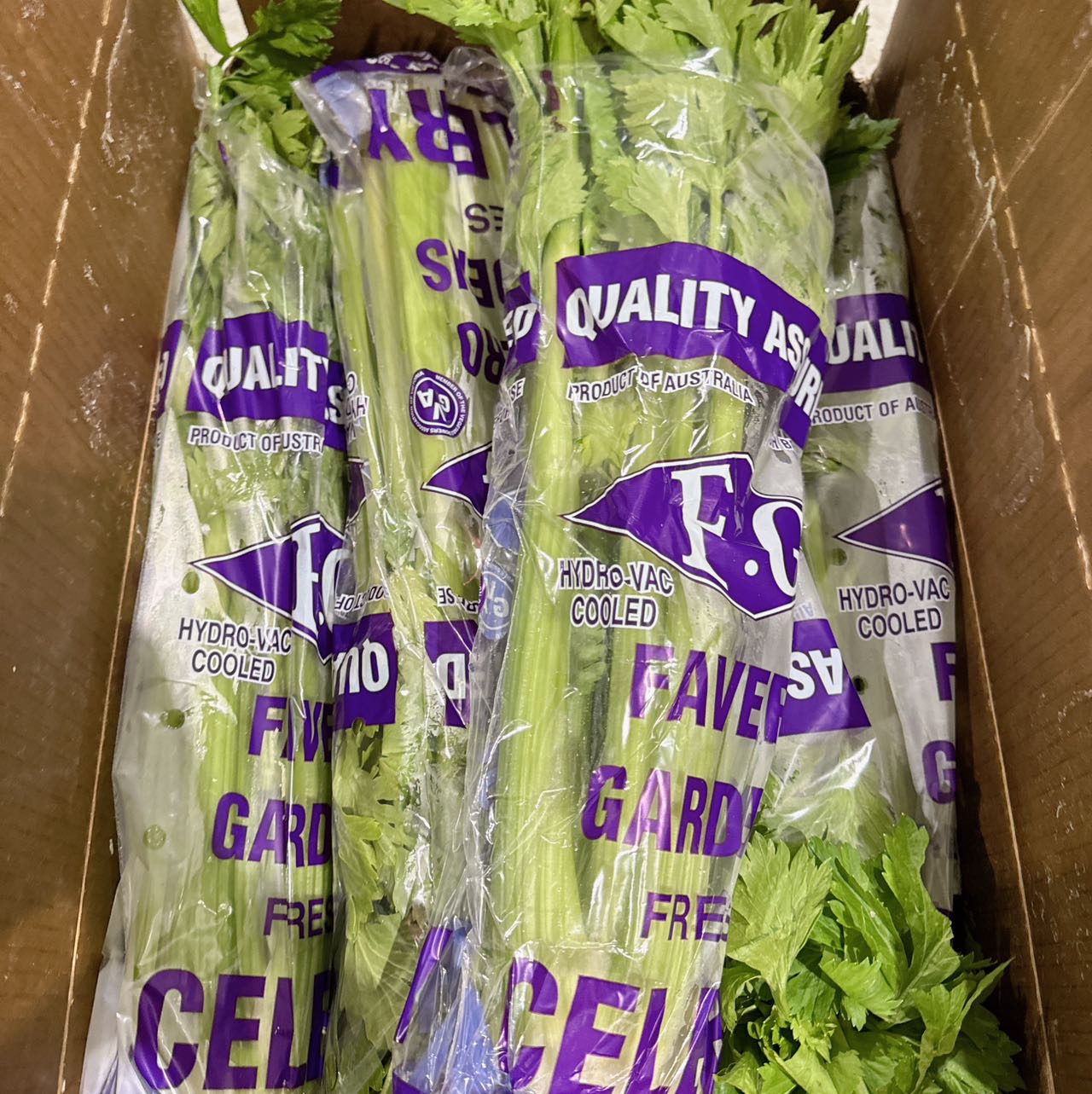 [Fresh]-Bundle-of-Celery-1