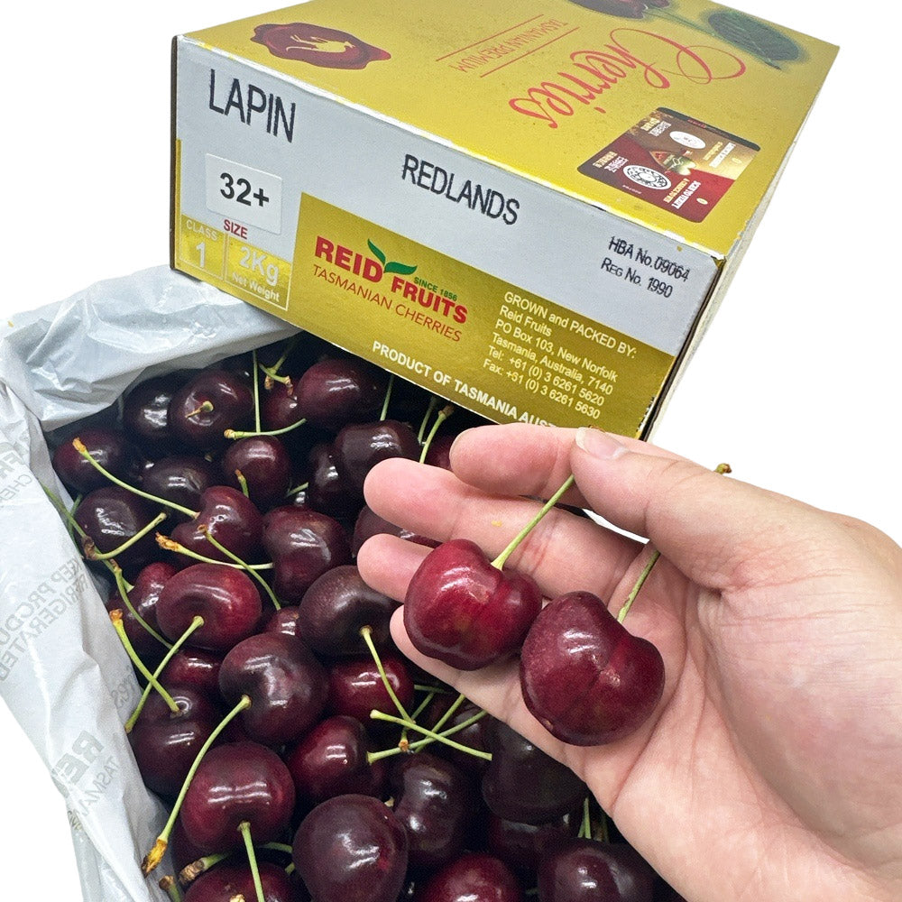 Reid-Fruits-Tasmanian-Lapin-Cherries-Gift-Box---2kg-1