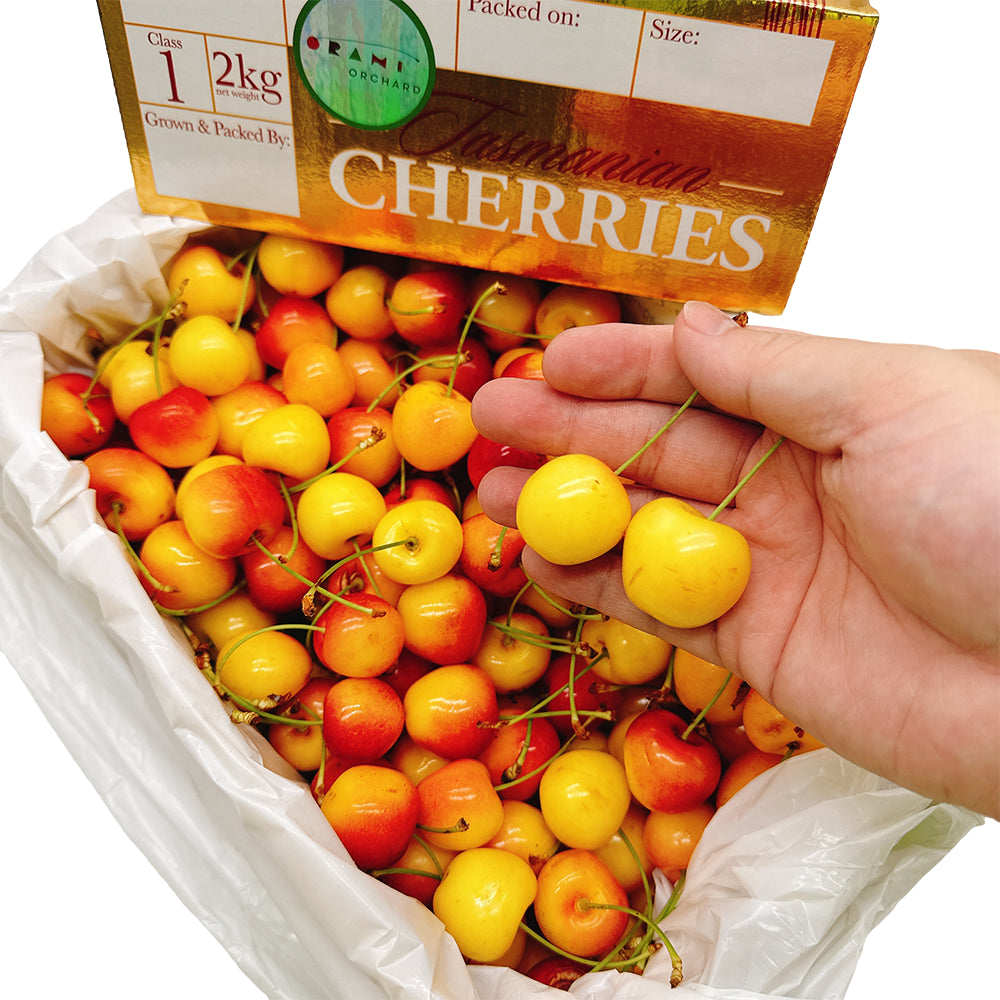 Tasmanian-White-Cherries-Gift-Box---2kg-1