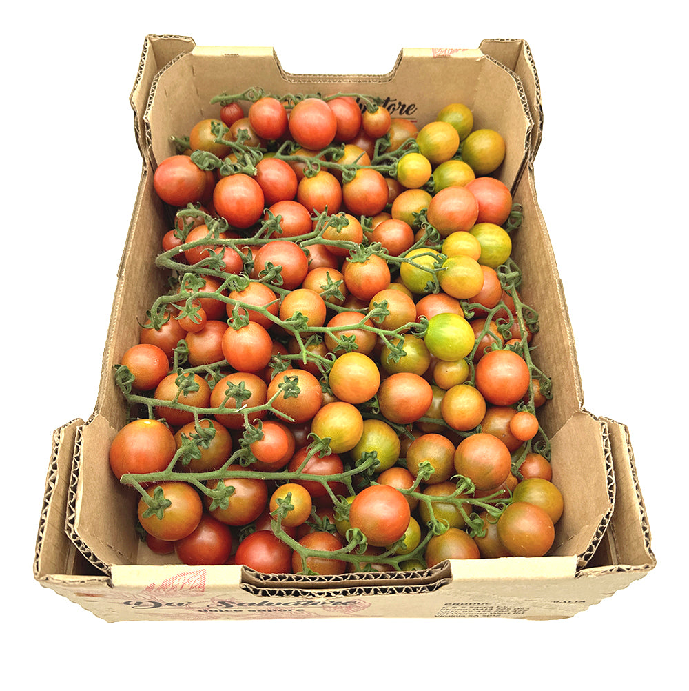 Vine-Ripened-Blood-Red-Cherry-Tomatoes---Box-of-5kg-1