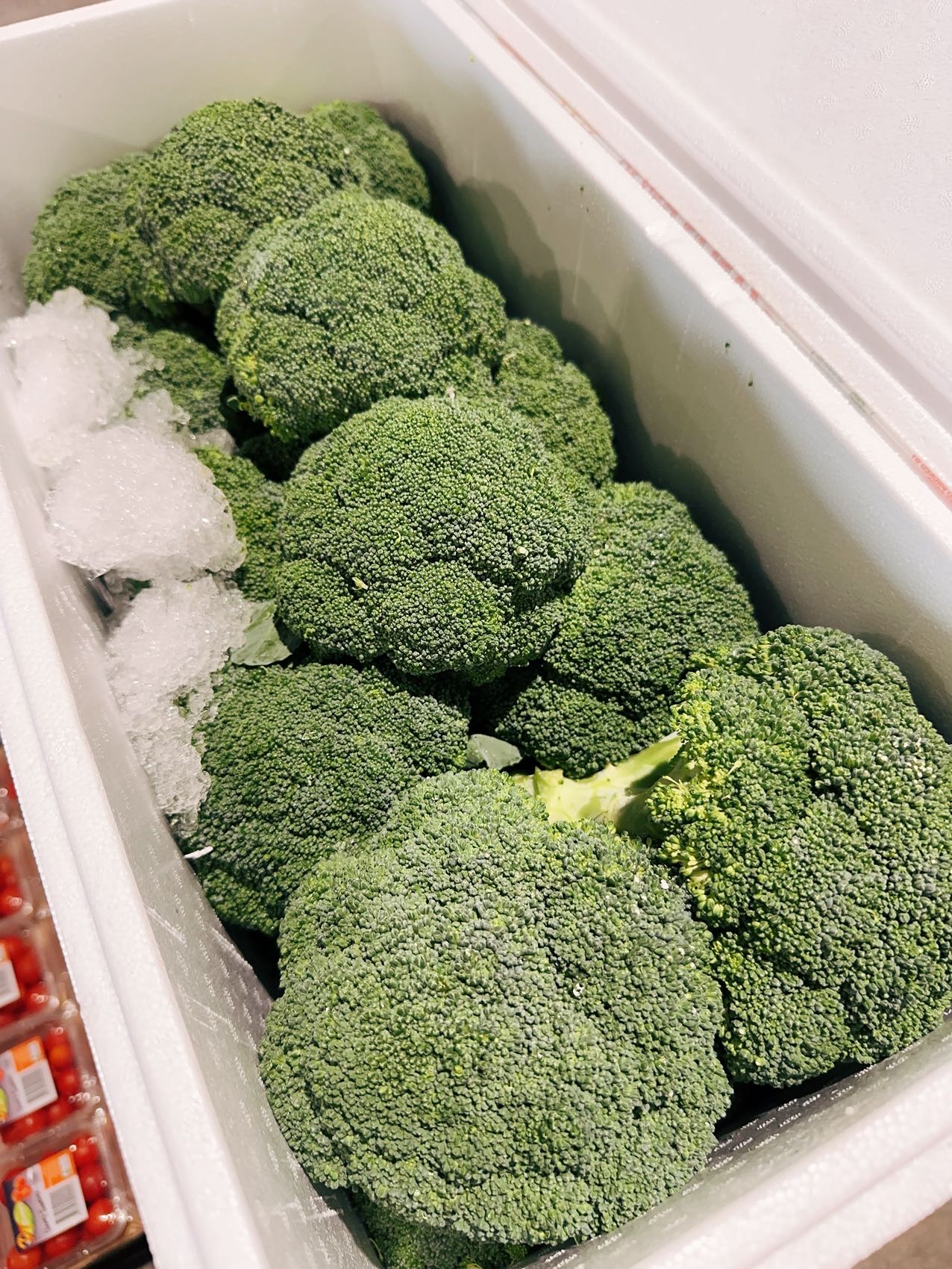 fresh-broccoli-approximately-900g-1000g-1