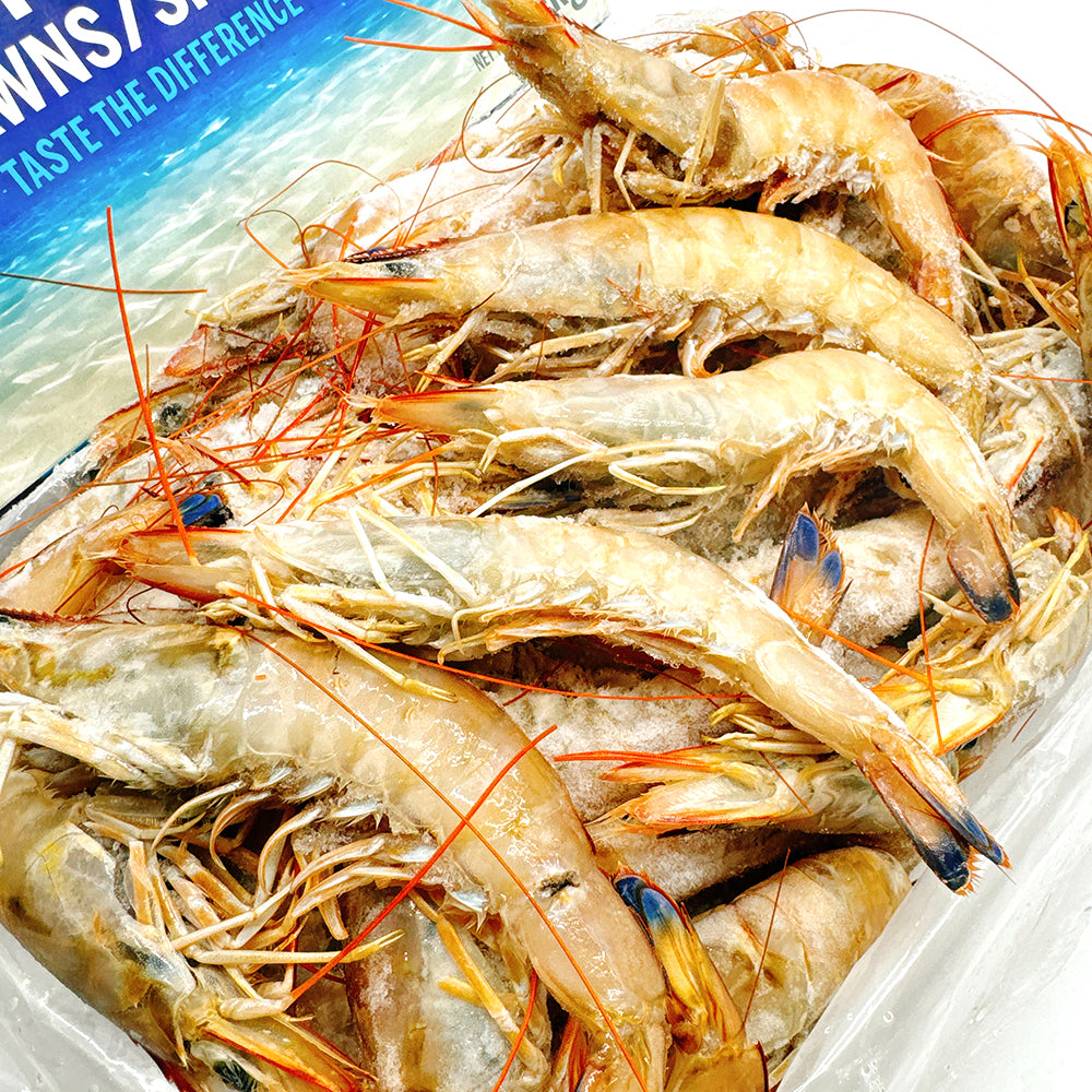 Ocean-Australia-Wild-Caught-King-Prawns-U10-20---3kg-1