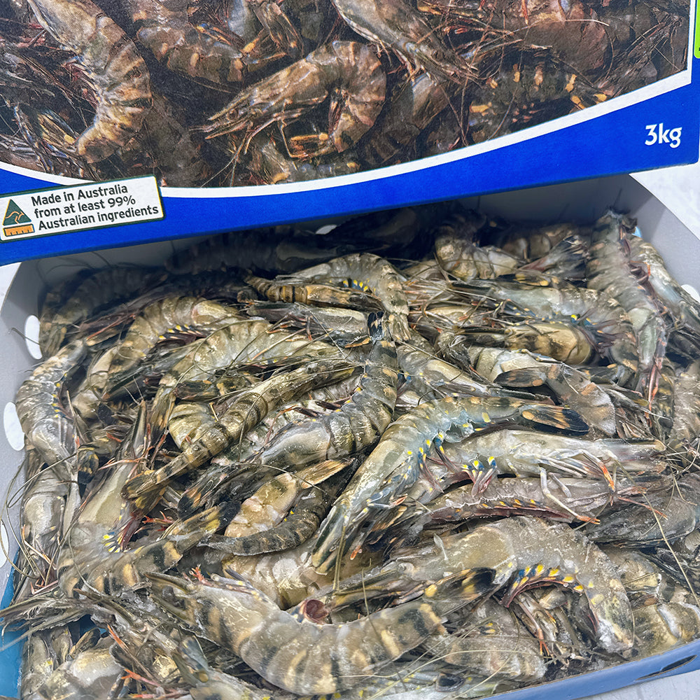 Tassal-Frozen-Australian-Black-Tiger-Prawns-M-Size-21/30---3kg-1