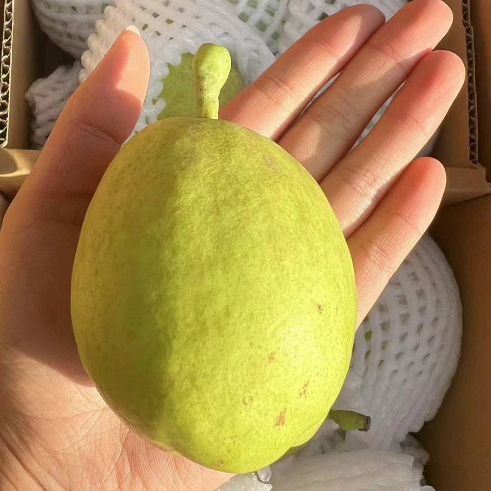 pear-fragrant-chinese-kilogram-1