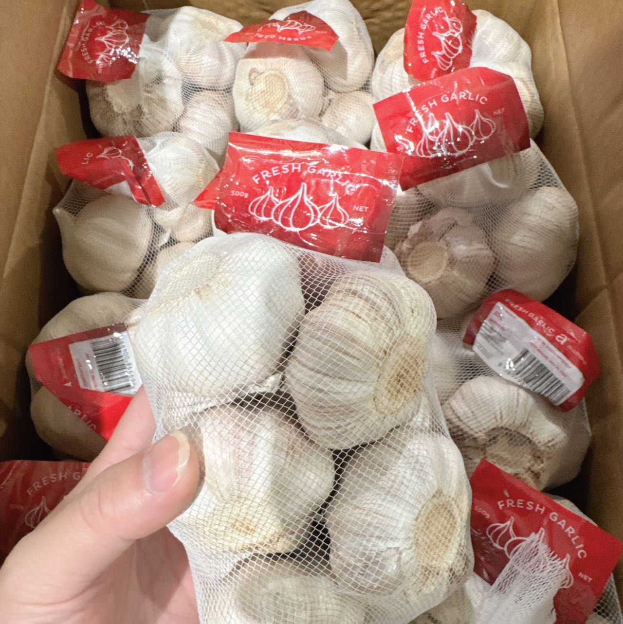 fresh-dried-garlic-heads-approximately-500g-1