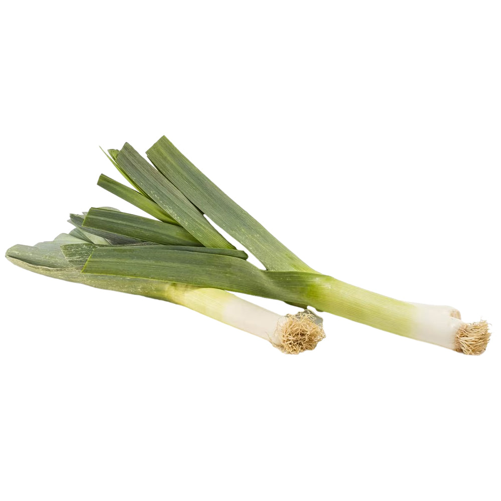 fresh-single-garlic-shoot-1