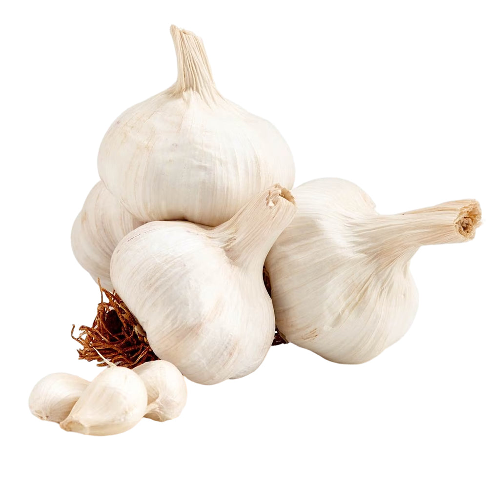 fresh-dried-garlic-heads-approximately-500g-1