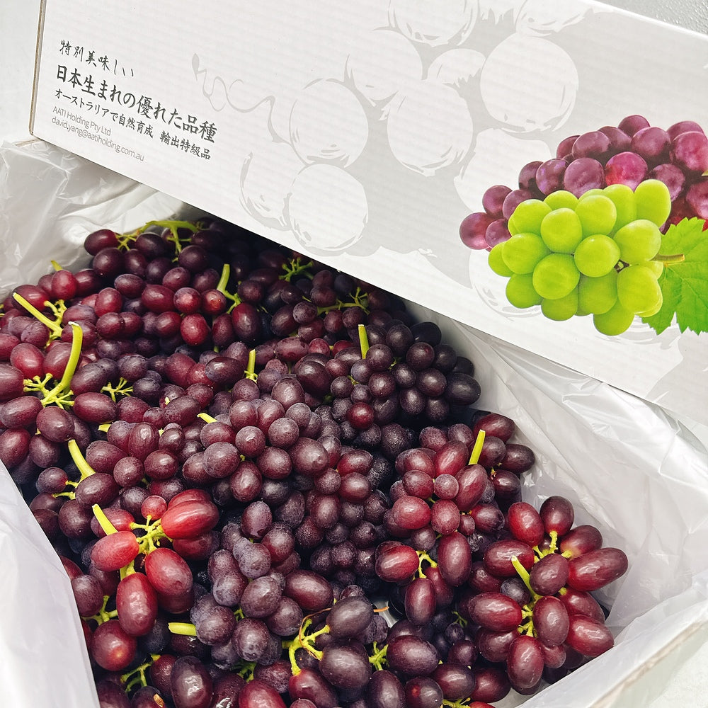 Japanese-Black-Muscat-Grapes---Box-of-3kg-1