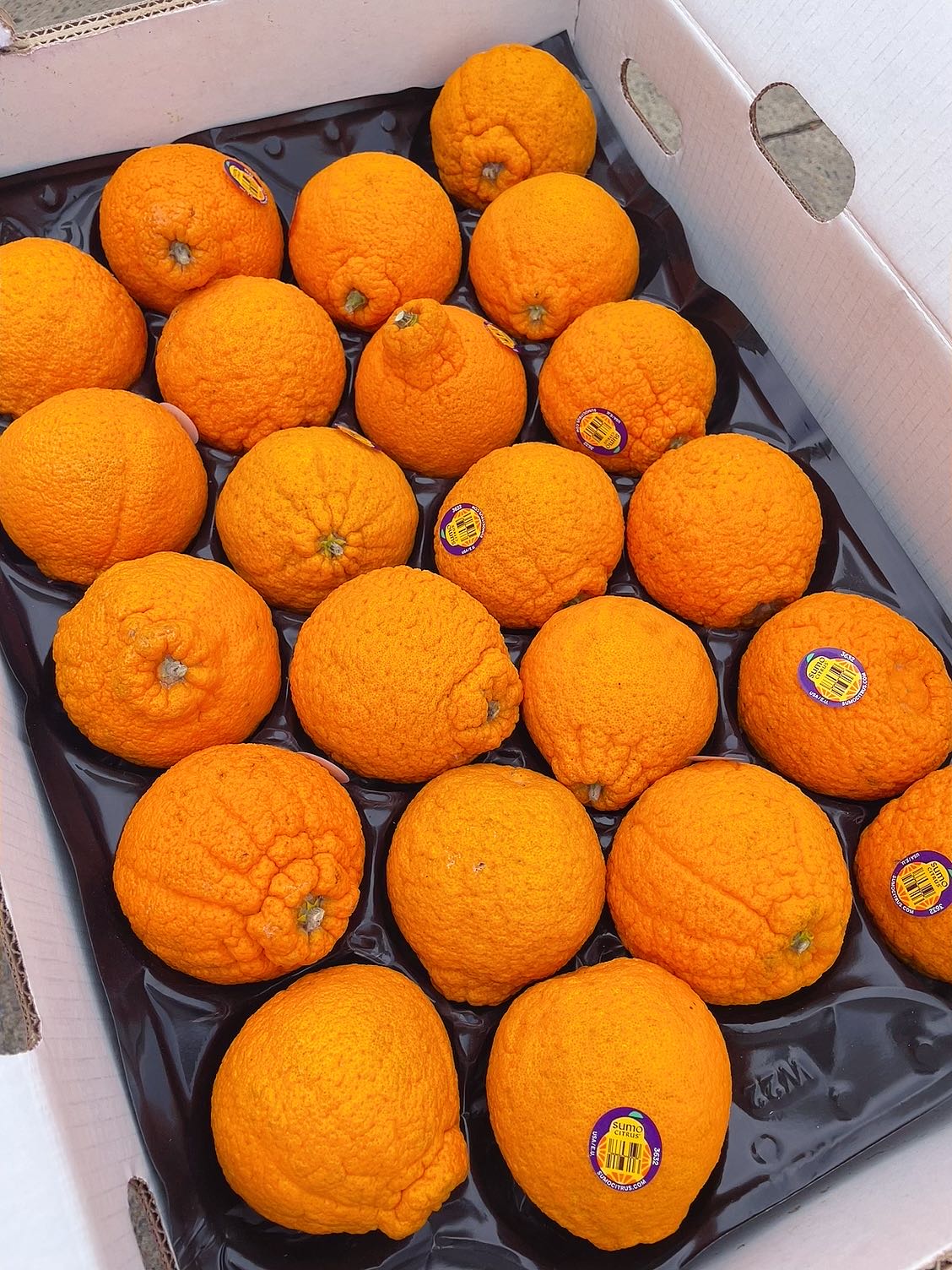 Sumo-Citrus-Mandarins---Box-of-25-1