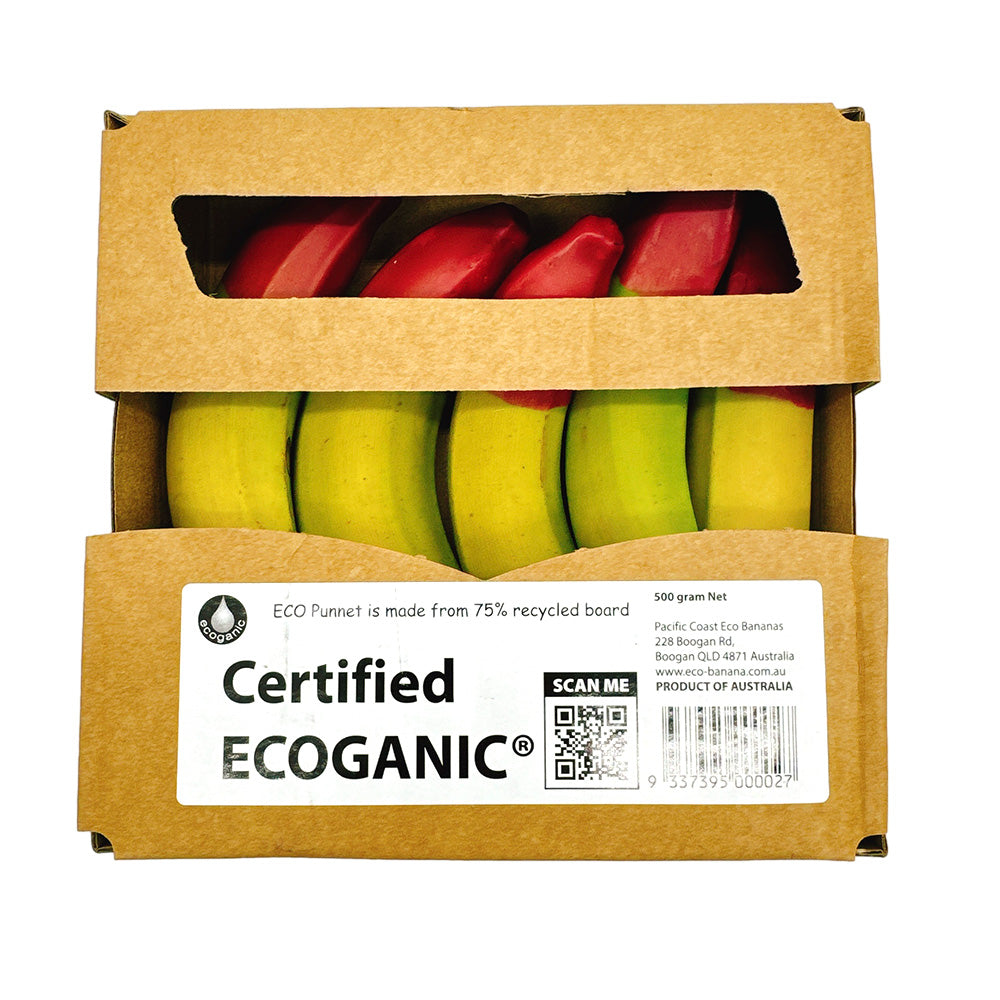 certified-organic-mini-bananas-500g-1