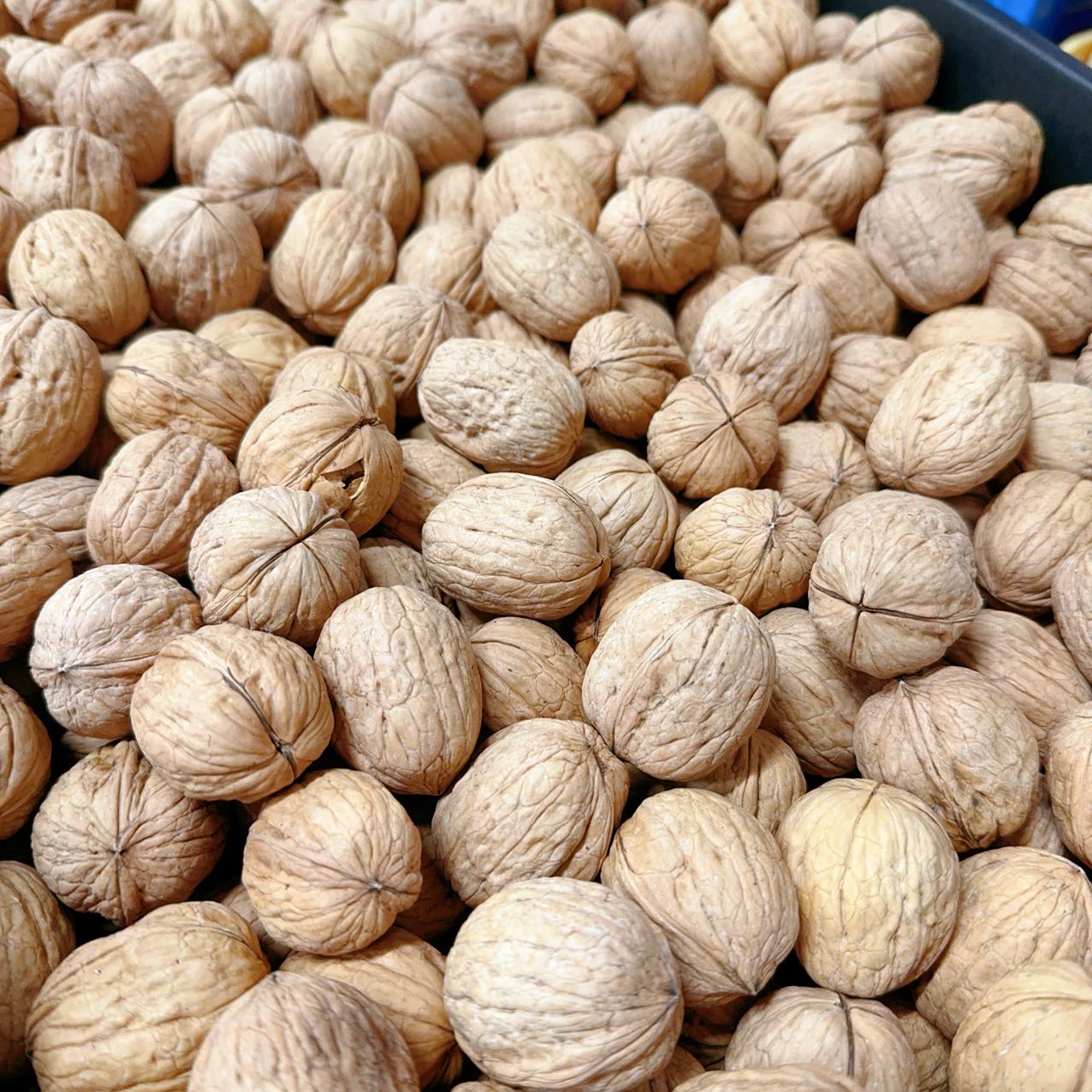 paper-shell-walnuts-500g-1