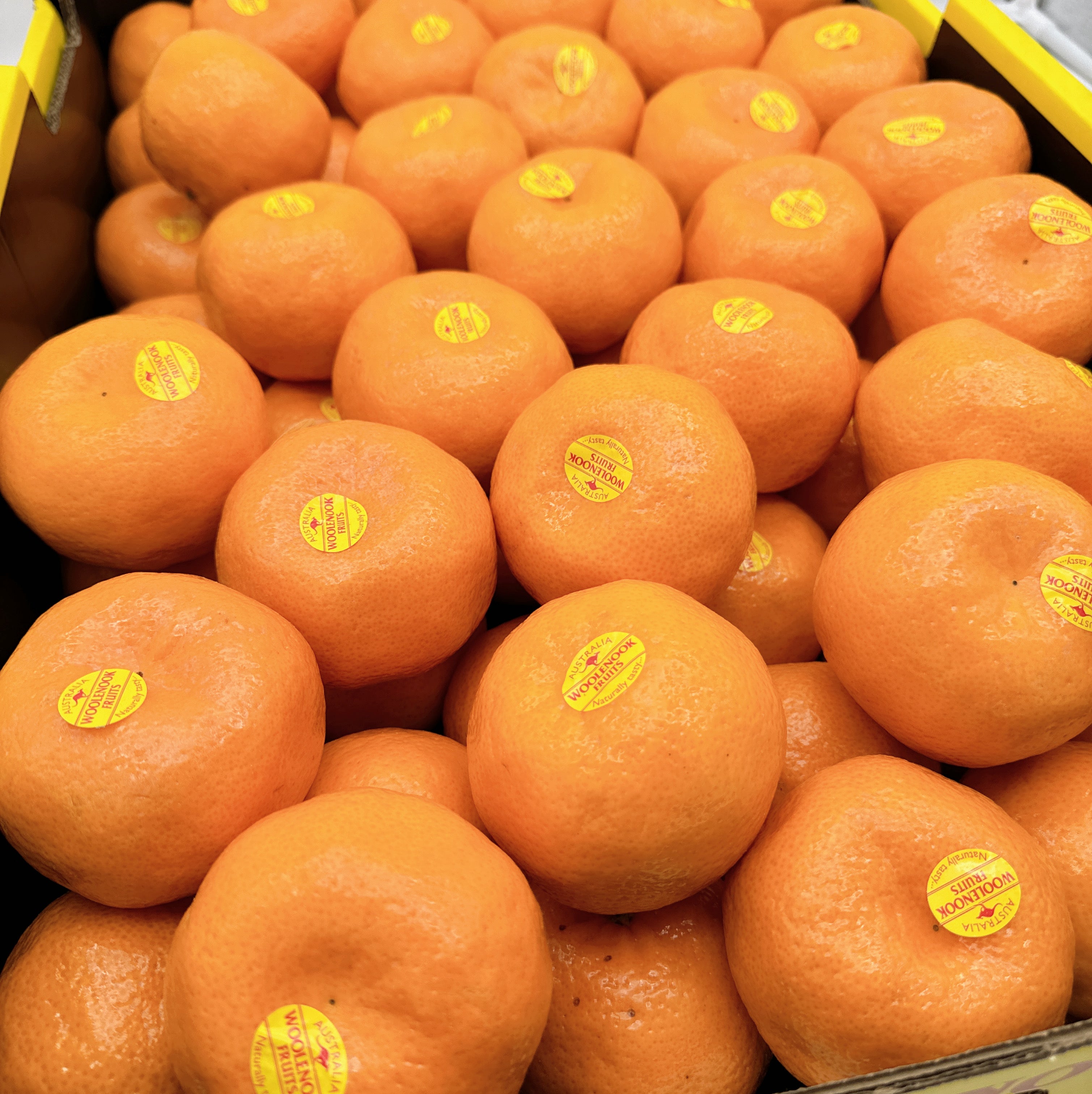 Woolenook-Imperial-Premium-Sweet-Mandarins---Box-of-9kg-1