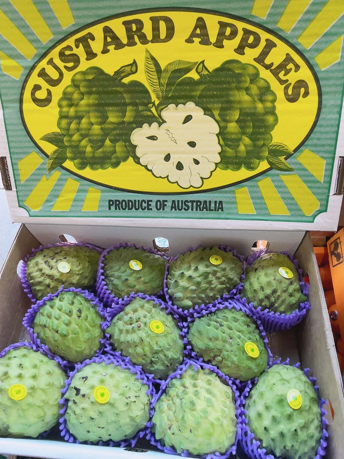 fresh-custard-apple-1-piece-1