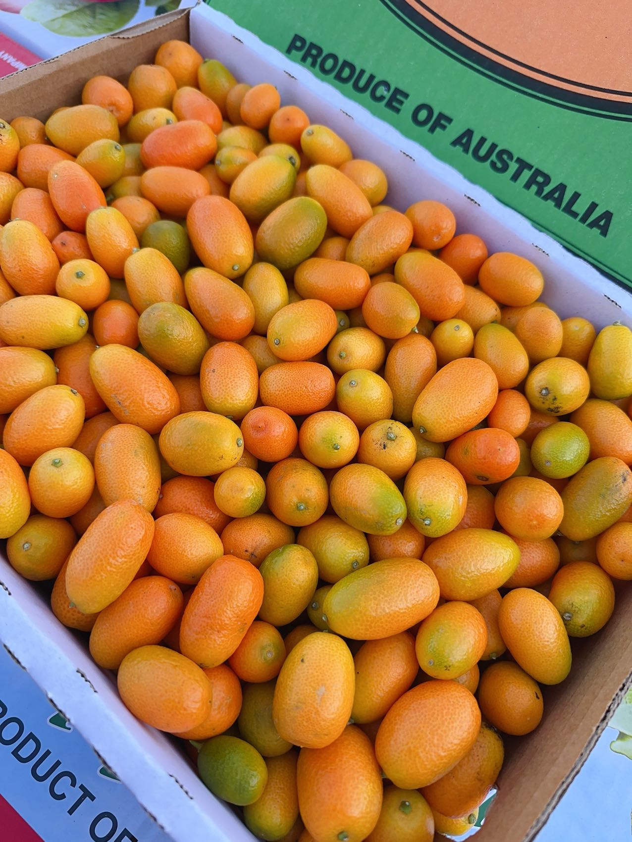 fresh-super-sweet-kumquats-approximately-500g-1