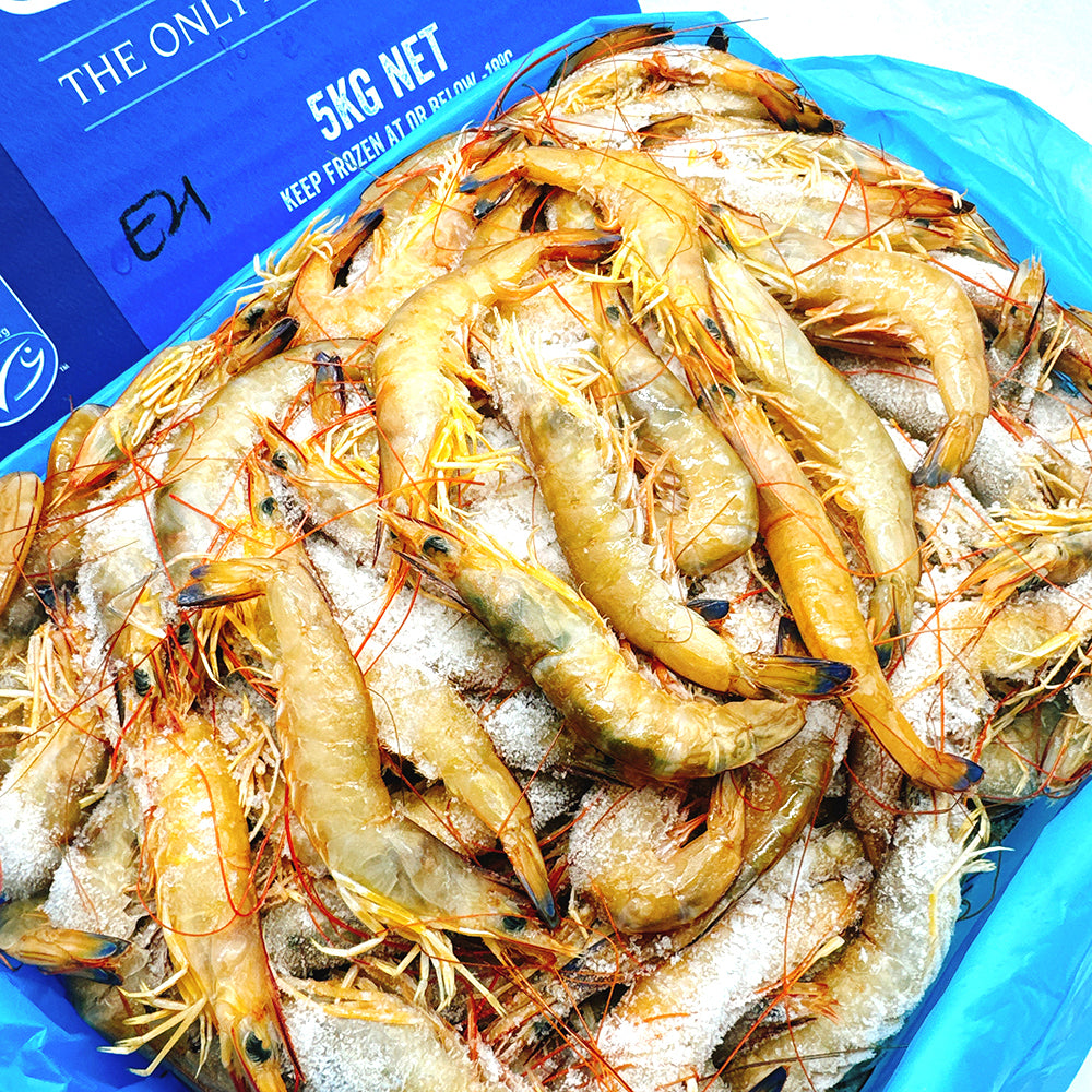 Exmouth-Wild-Caught-Prawns-U21/30---5kg-Box-1