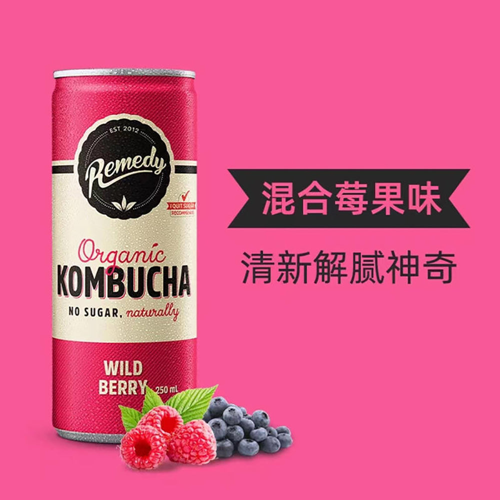 Remedy-Organic-Kombucha-Mixed-Berry-Flavor-4-Cans-1