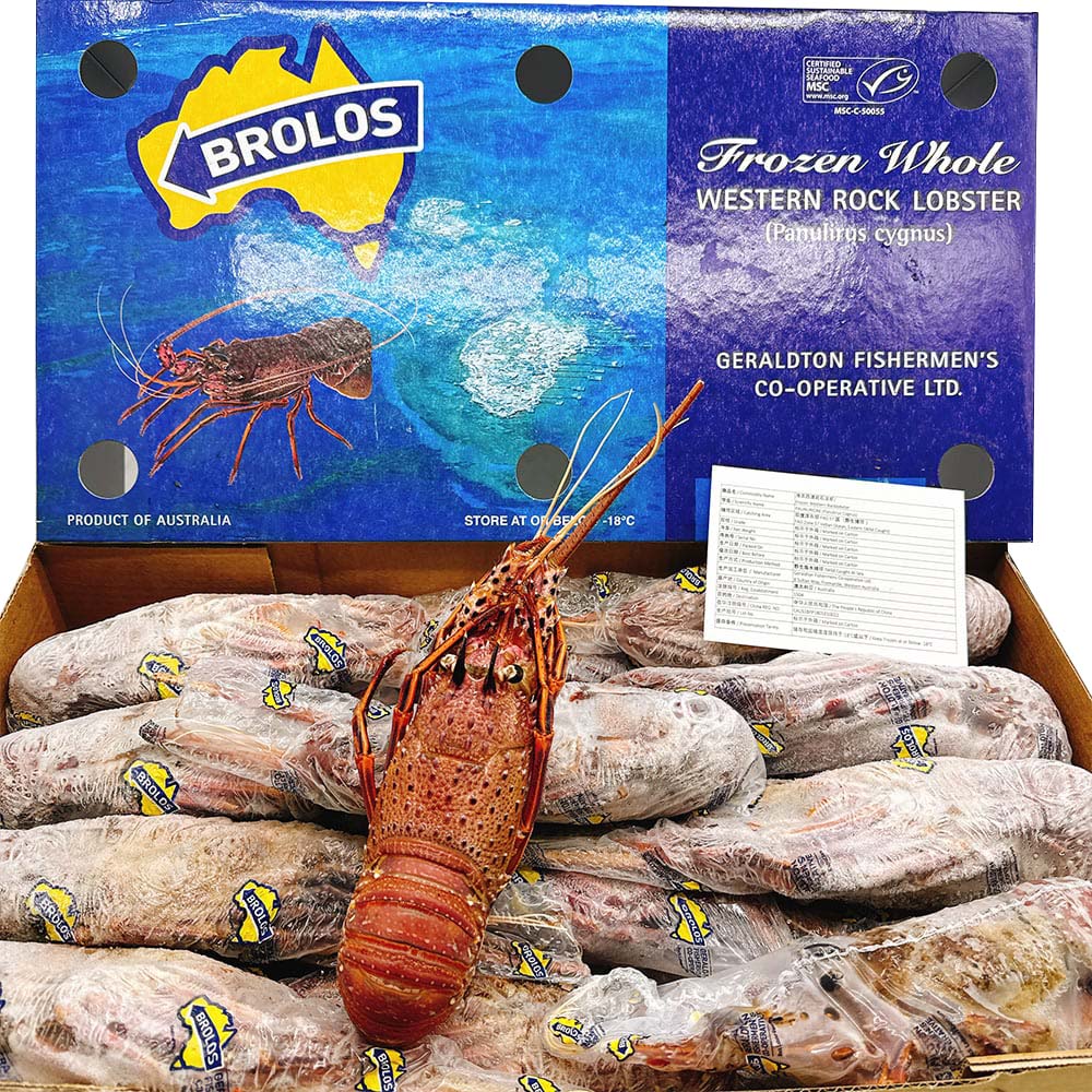 Brolos-Frozen-Whole-Western-Rock-Lobster---10kg-Box-1