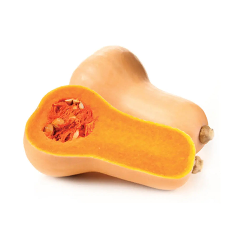 Pumpkin Butternut Each