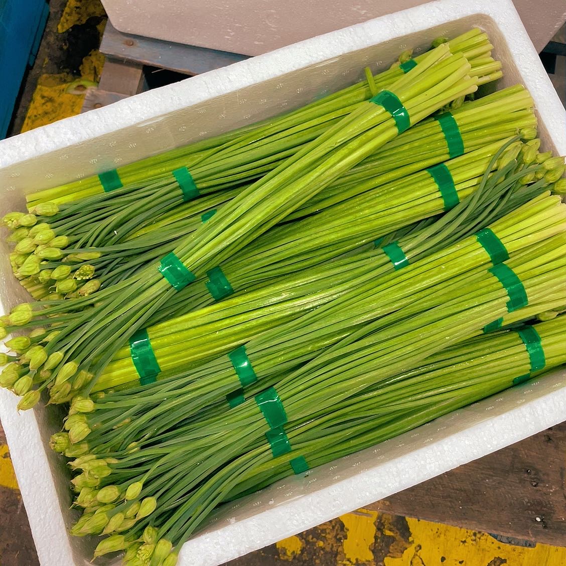 fresh-garlic-chives-flower-1-bundle-1