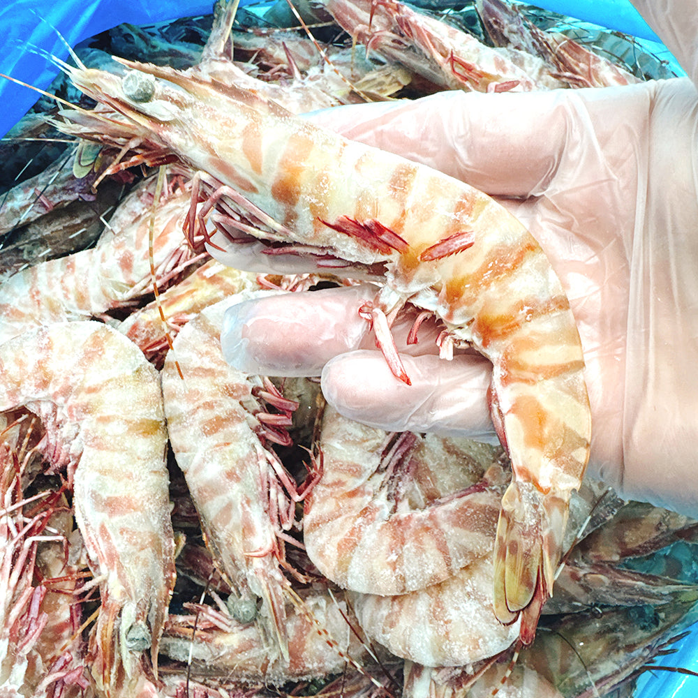 Tarni-Raw-Brown-Tiger-Prawns-Size-16/20---500g-1