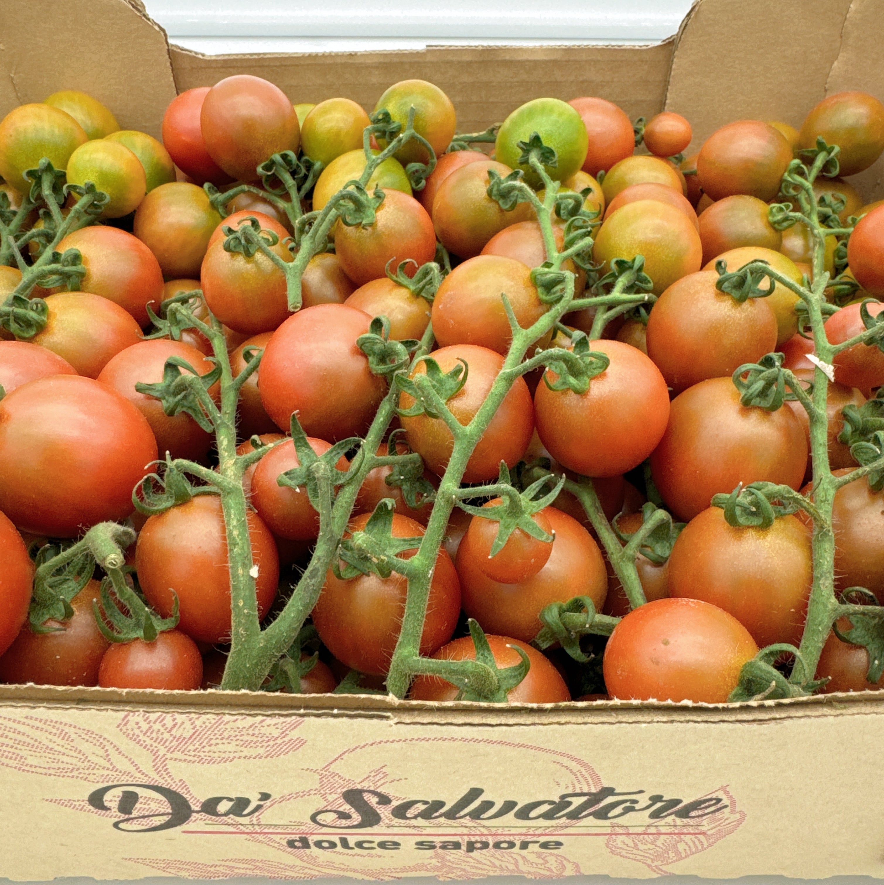 Vine-Ripened-Blood-Red-Cherry-Tomatoes---Box-of-5kg-1