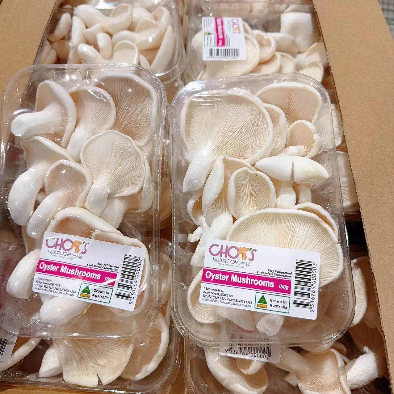 Chois-White-Oyster-Mushrooms---150g-1