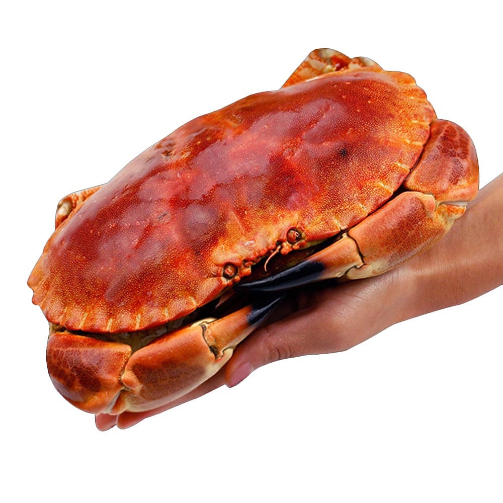 Frozen Cooked Brown Crab - 600-800g