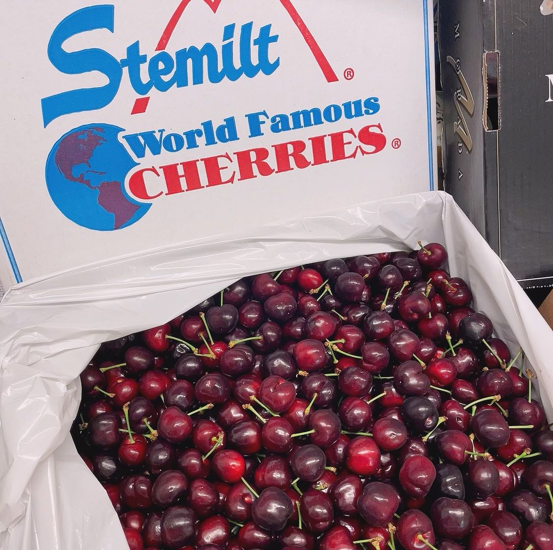 Stemilt-Imported-Red-Cherries-from-USA---5kg-Box-1