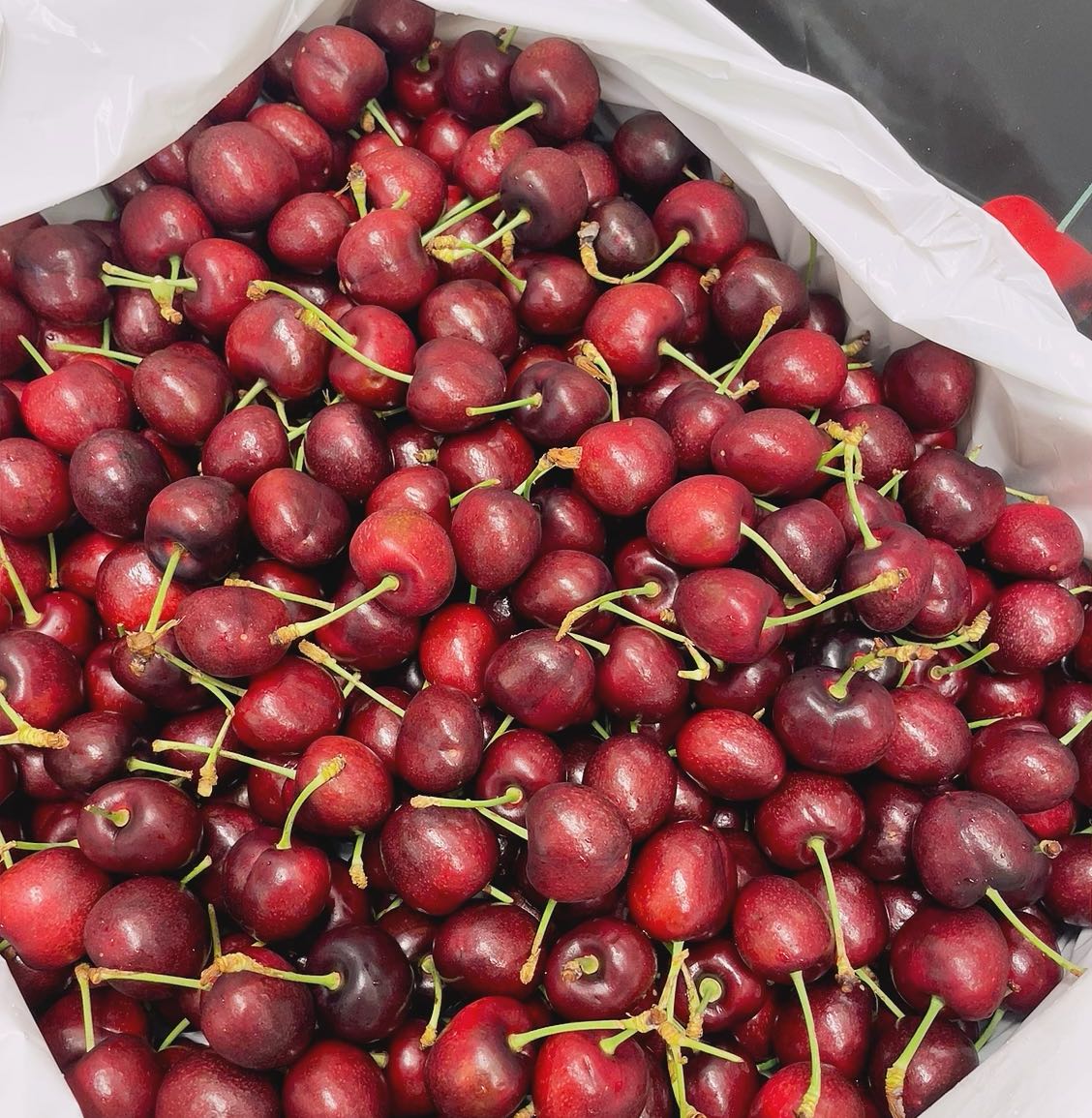 Morada-Imported-Red-Cherries-from-USA---5kg-Box-1