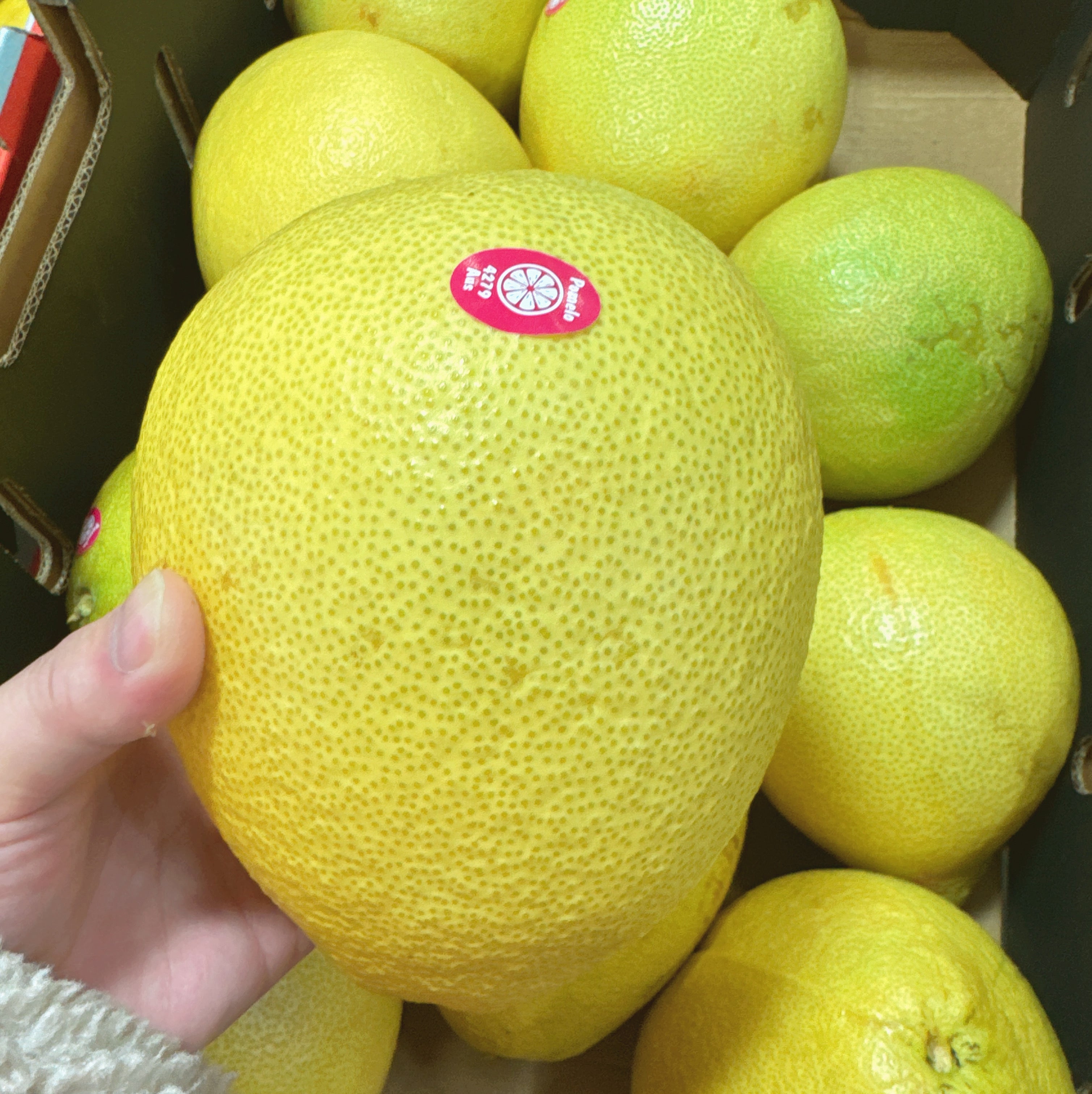 Pomelo-White-Flesh-Grapefruit---1-1.2kg-1