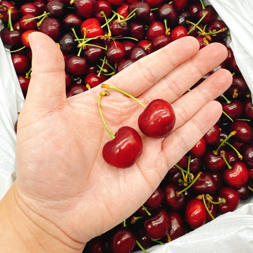 Sweet-Cheeks-Pure-Sweet-Cherries---Medium,-500g-1