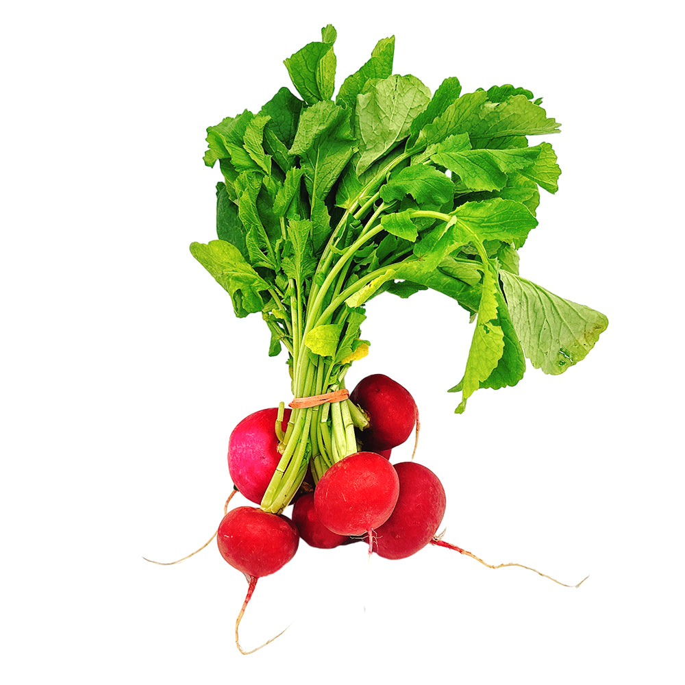 Fresh-Baby-Radishes---1-Bunch-1