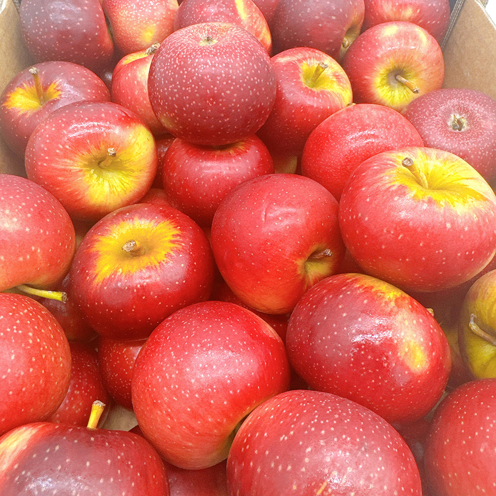 Baby-Bravo-Apples---1kg-1