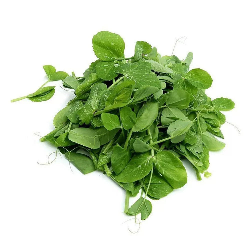 Snow Pea Tendrils 300g