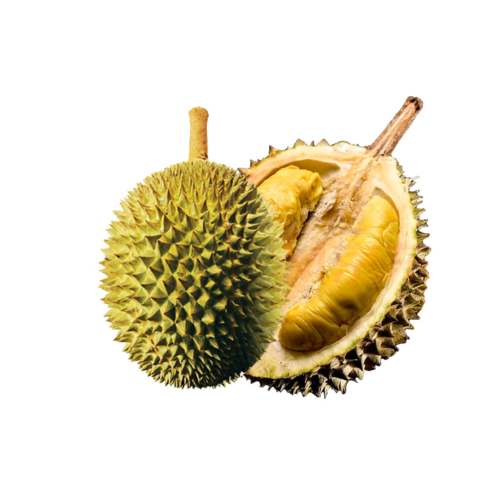 Frozen-Hernan-Musang-King-Durian---2.8-3kg-1