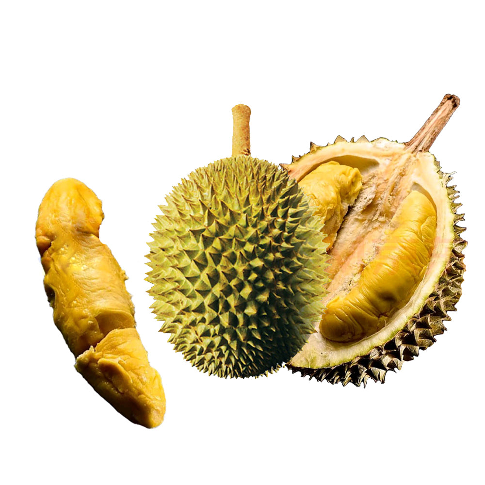 Frozen-Hernan-Musang-King-Durian---2.8-3kg-1