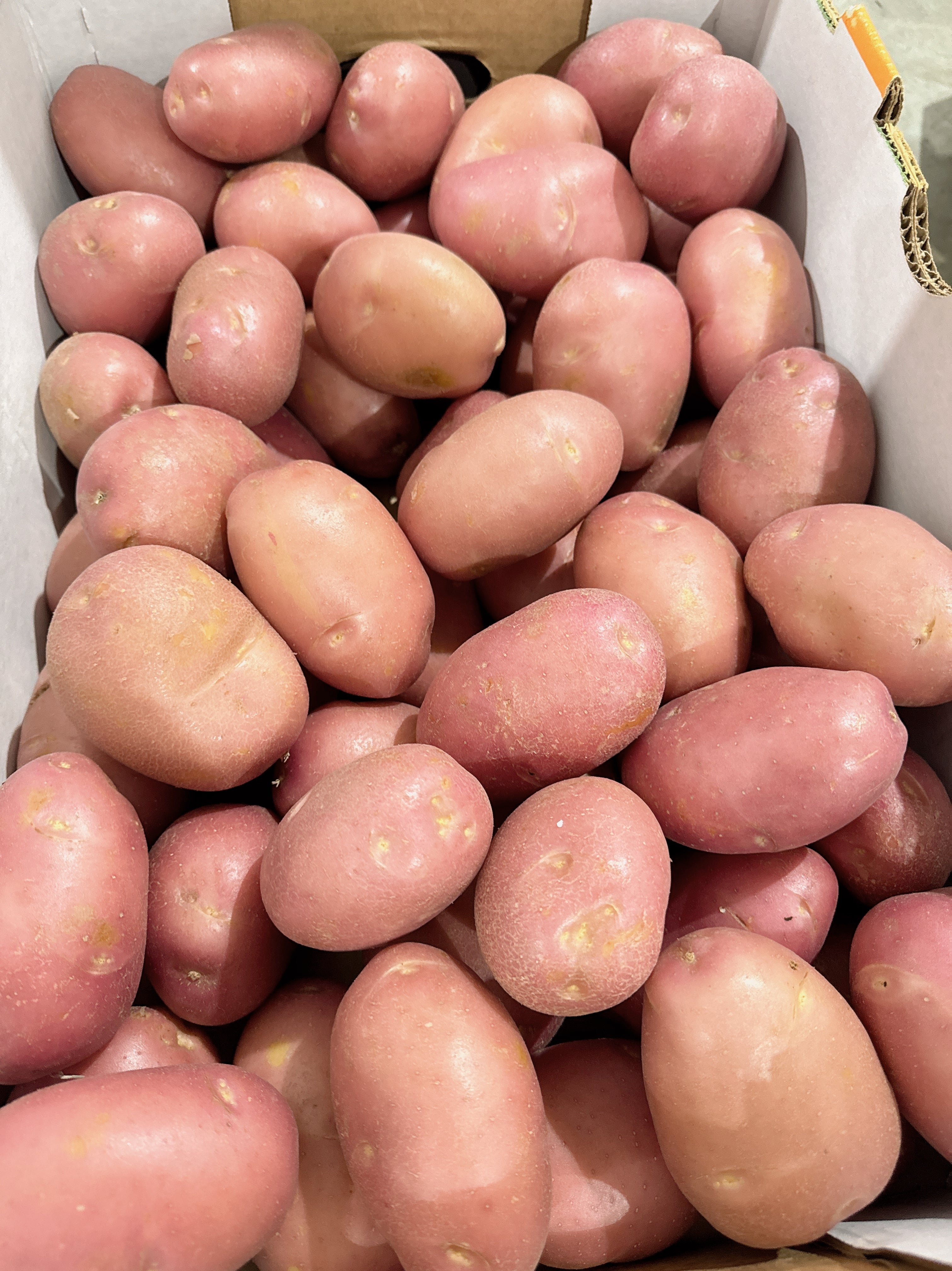 fresh-red-skin-potatoes-approximately-1kg-1