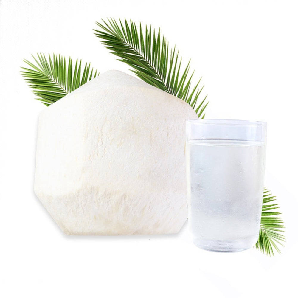 coconut-young-white-box-each-1