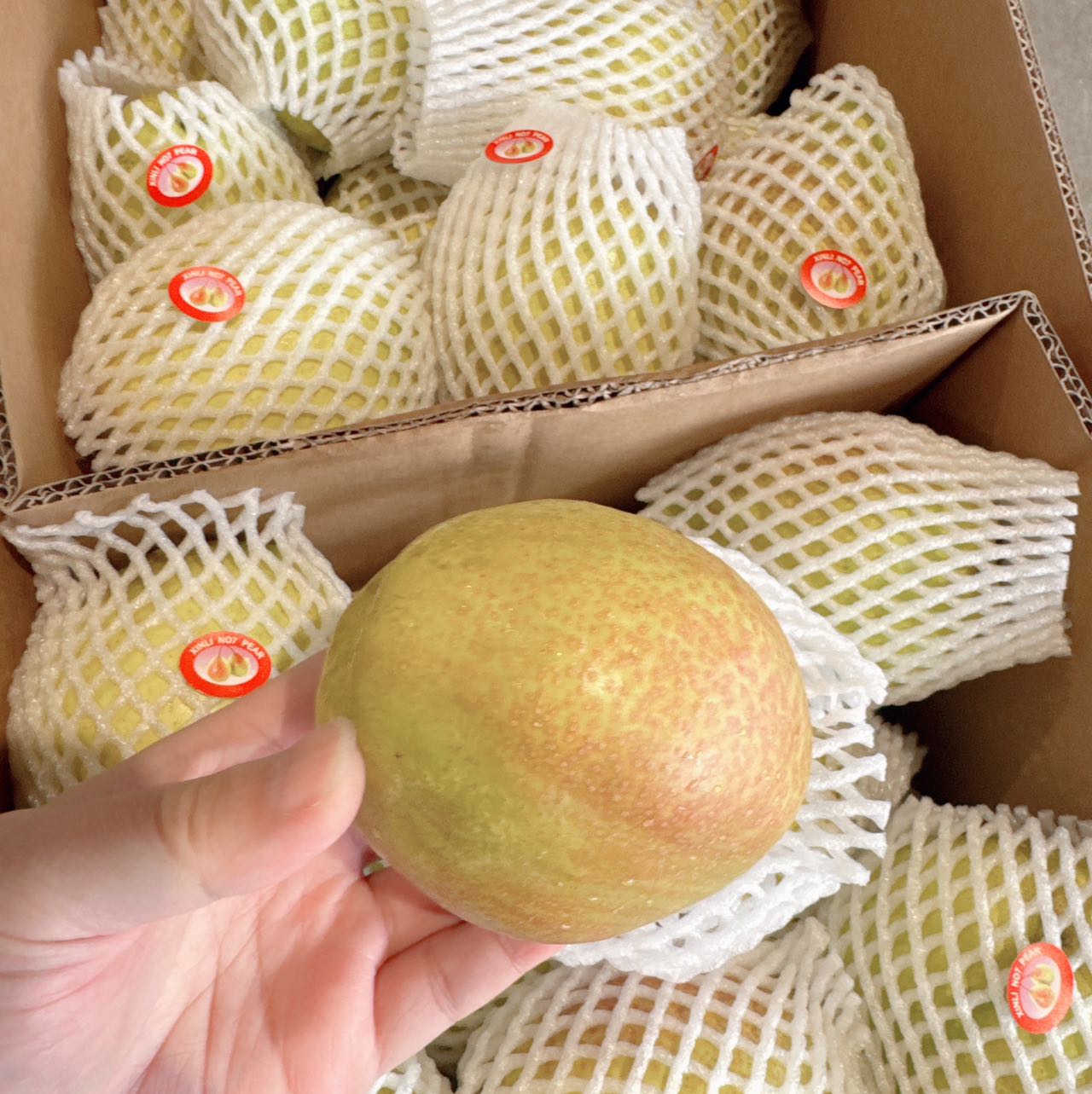 Chinese-Korla-Fragrant-Pears---7kg-Box-1