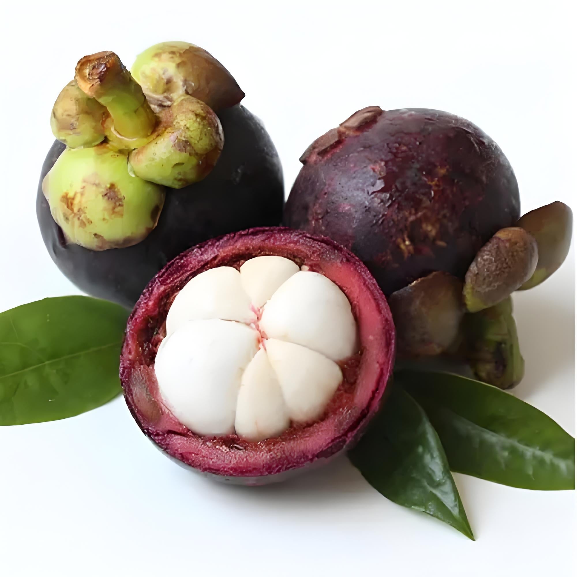 Mangosteen-Fresh-Thai-Airflown-KILOGRAM-1