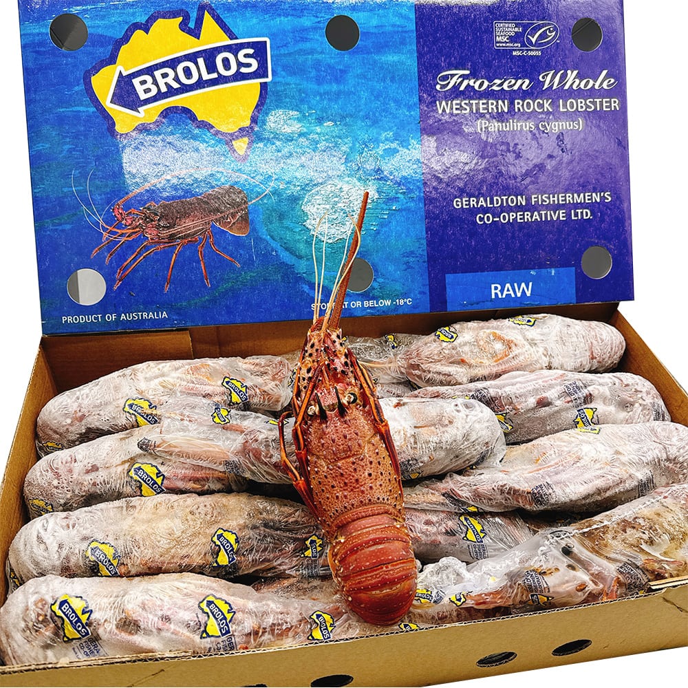 Brolos-Frozen-Whole-Western-Rock-Lobster---10kg-Box-1