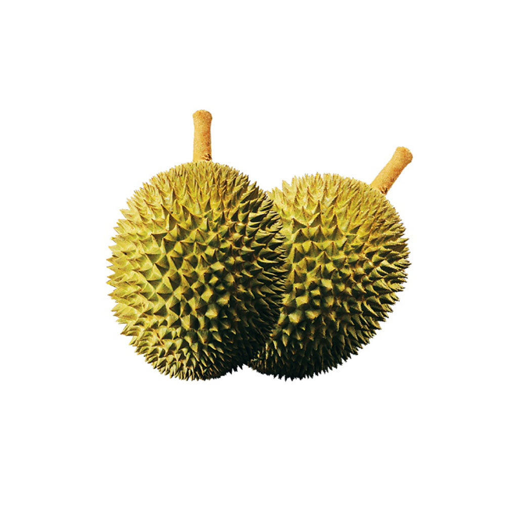 Hernan-Frozen-Musang-King-Durian---2.6-2.8kg-1