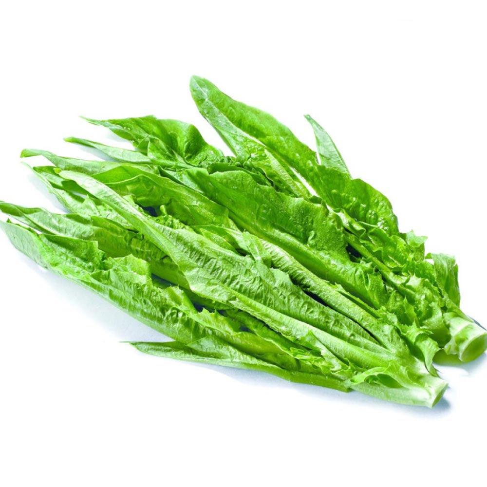 fresh-bunch-of-chinese-lettuce-1