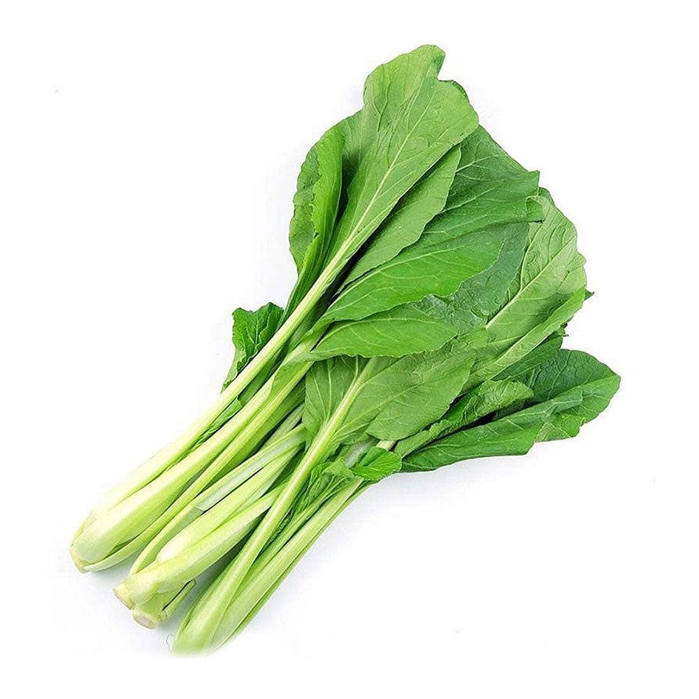 Large-Choy-Sum-Bunch-1