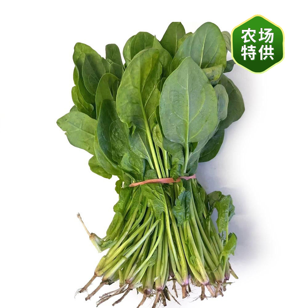 fresh-bundle-of-spinach-1-bundle-1