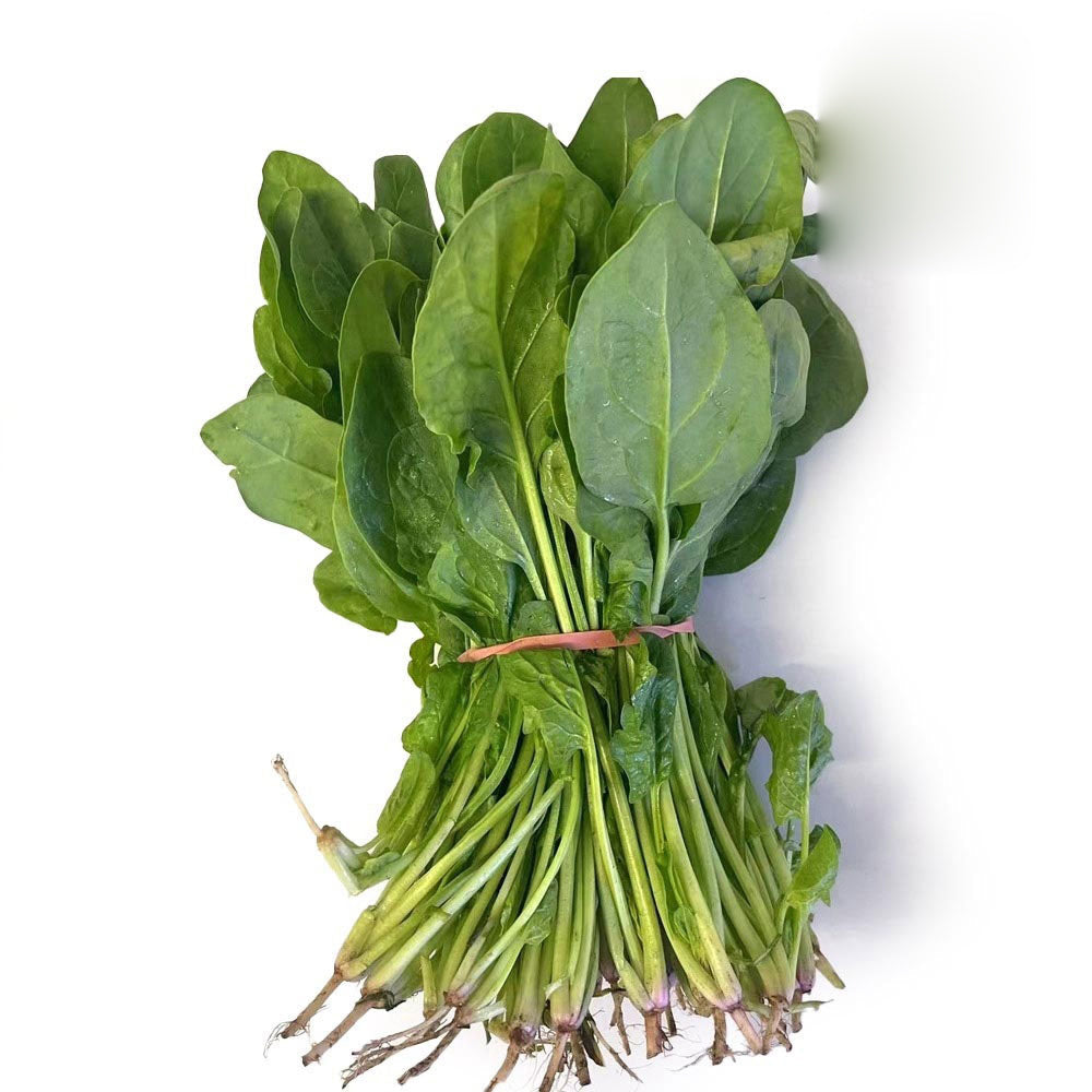 English Spinach Bunch