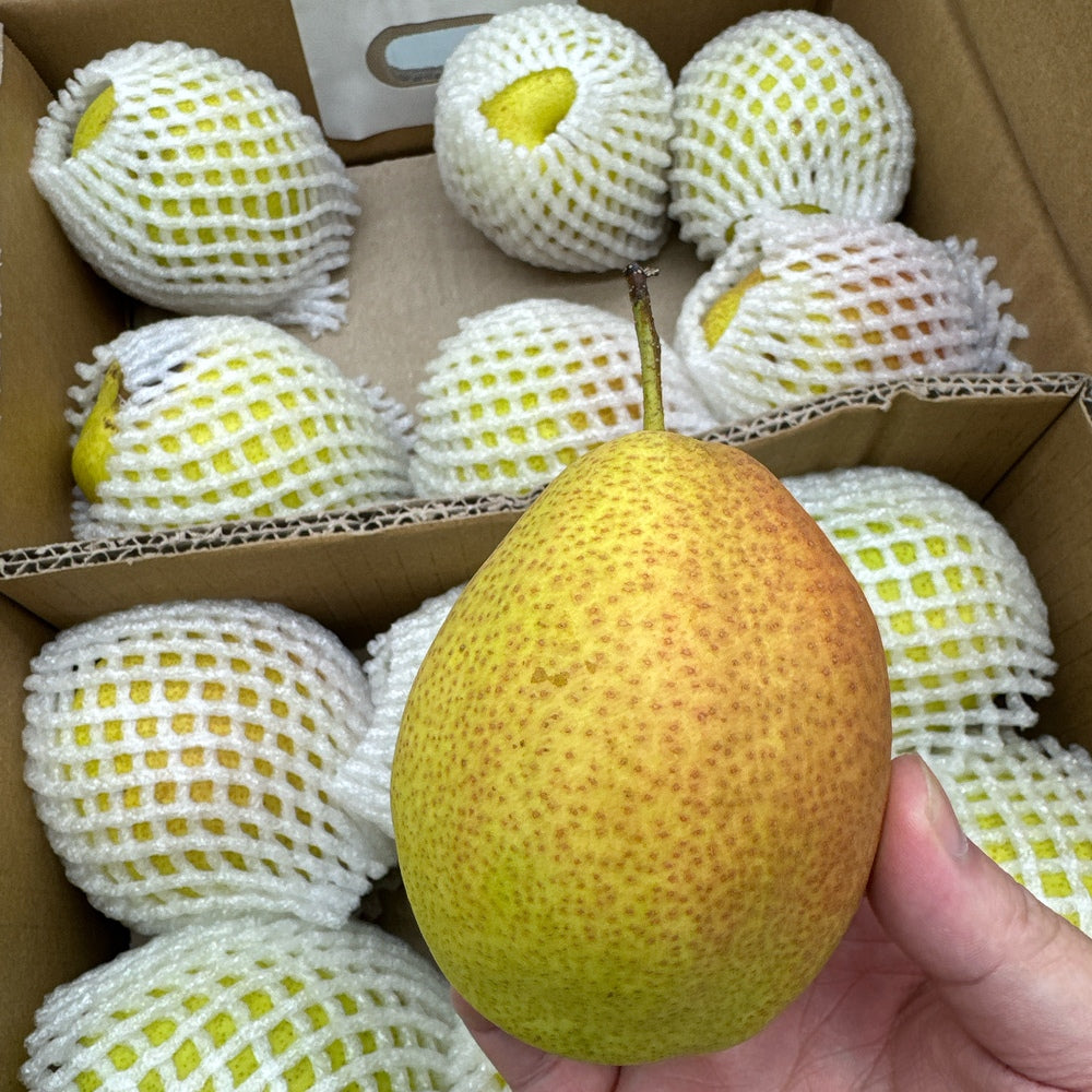 Umall-Fresh-Fragrant-Pears---Box-of-3kg-1